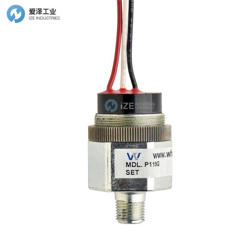 WHITMAN CONTROLS壓力開關(guān)P119G-10H-C12L
