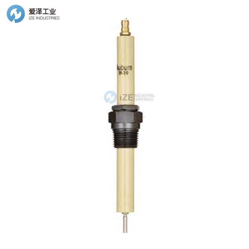 MAXON點火電極25663