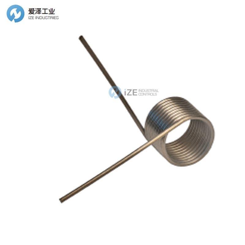 ASRAYMOND彈簧T系列