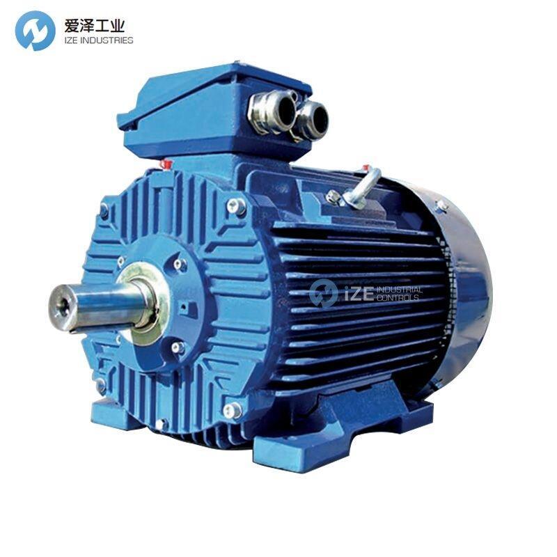 CANTONI電機(jī)3SIEK132S4