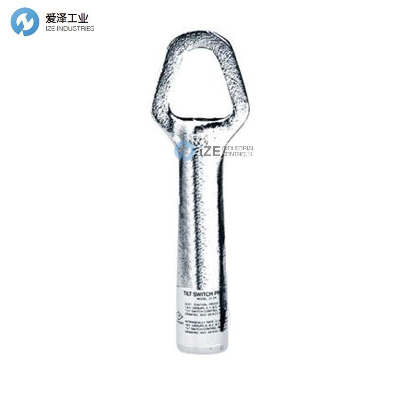 THERMO RAMSEY傳感器20-39-8M