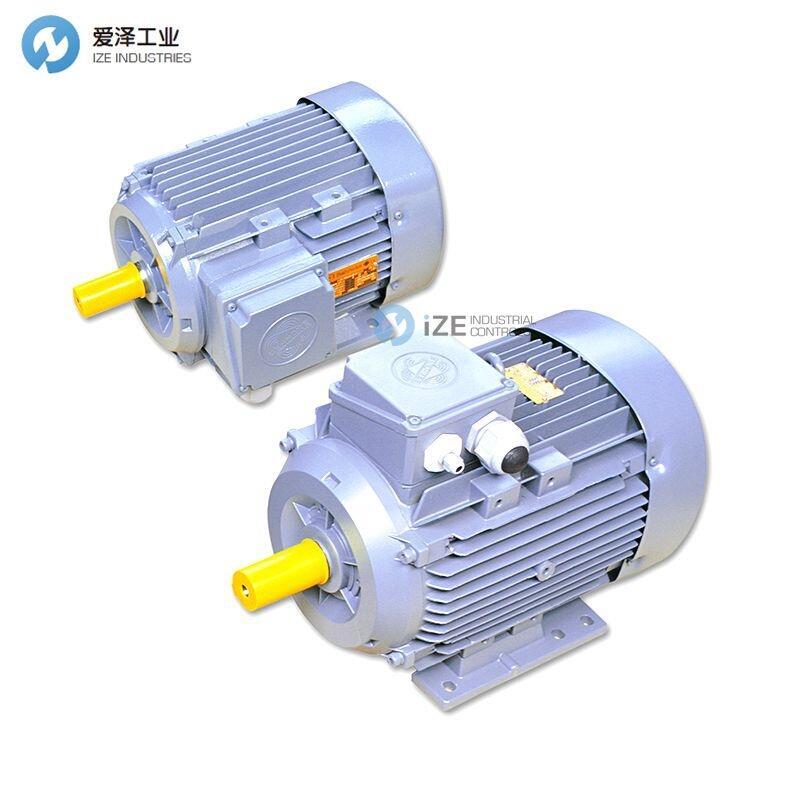 BEHNCKE電機Q3HFA100L4D40