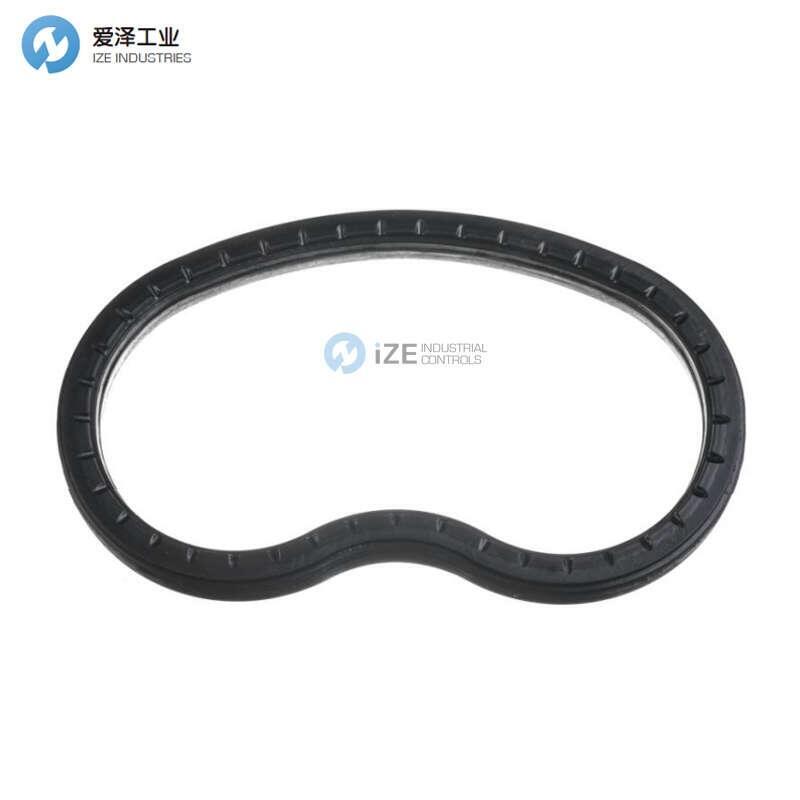 SCHWING密封10140380