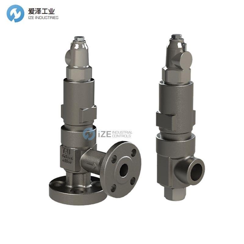 TAI安全閥4000-3/4 D1