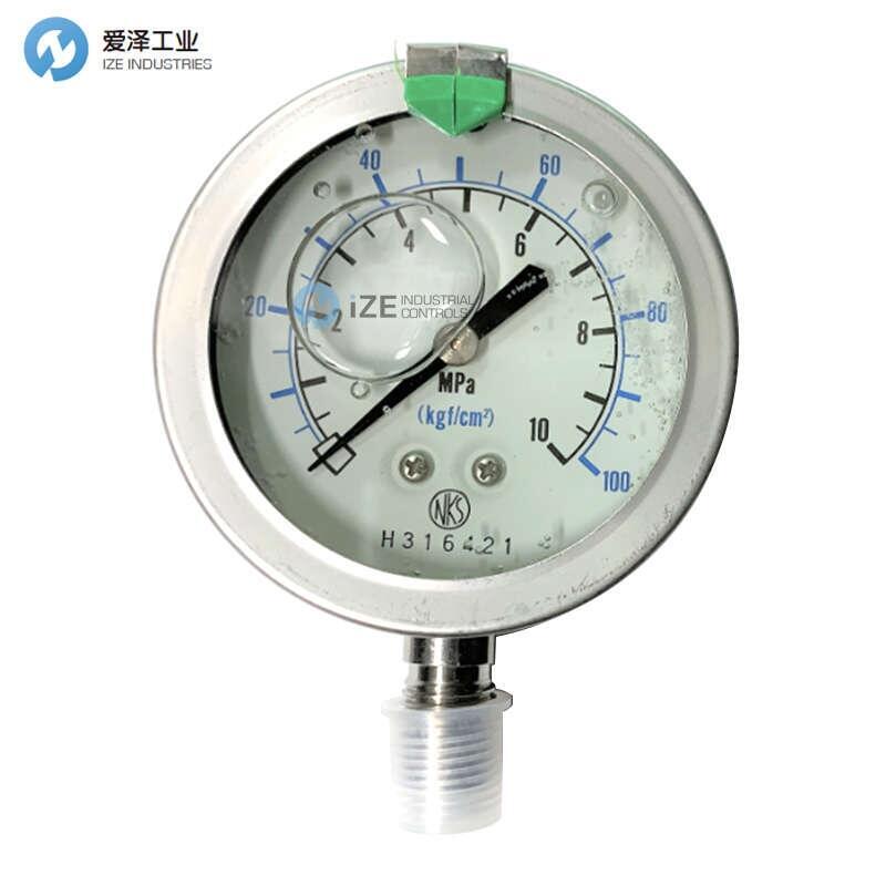 NAGANO壓力表GV55-1733000010XXXX1