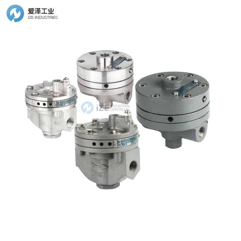 RK CONTROL放大器3000 3/4