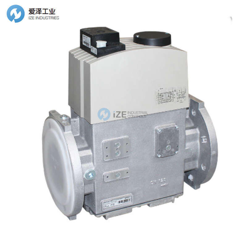 DUNGS電磁閥DMV5125/11 250365