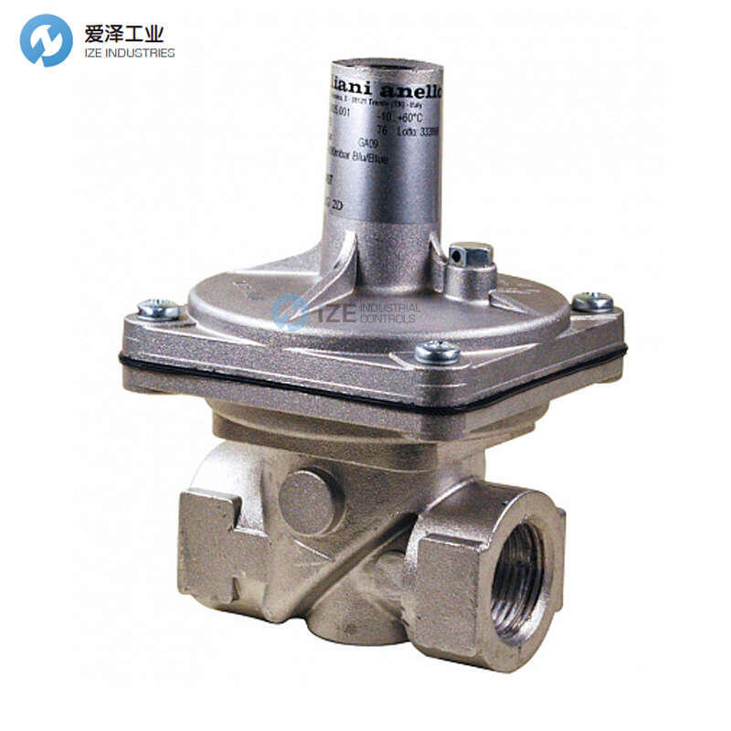 GIULIANI ANELLO安全閥MS25 002.0005.002