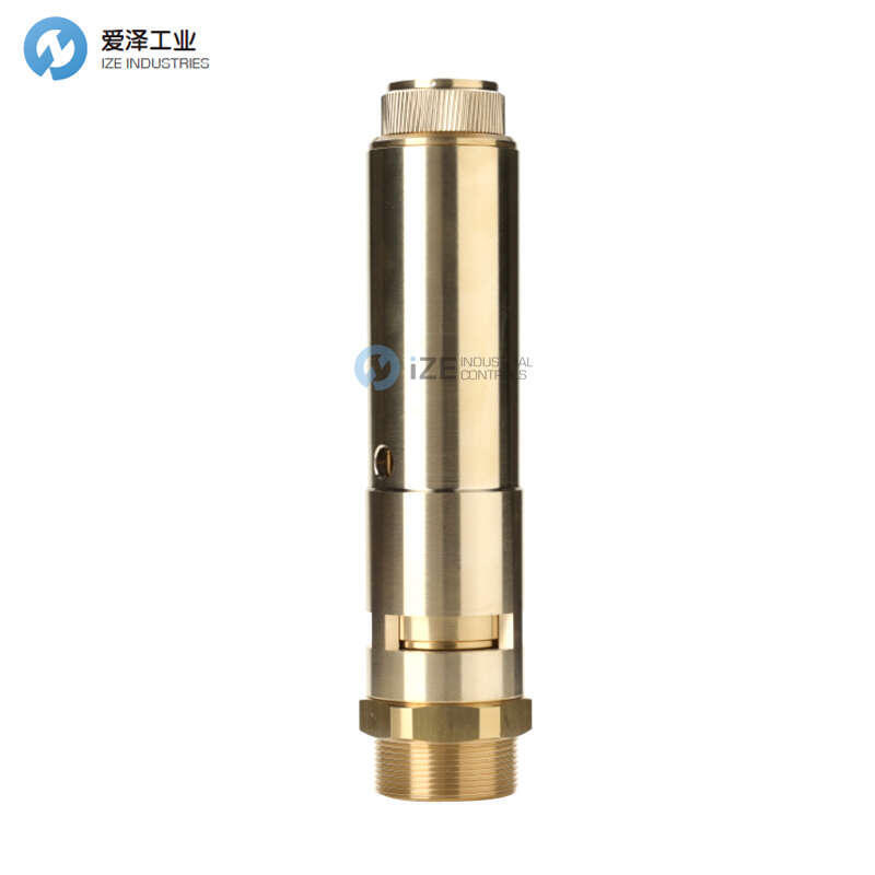 NUOVA GENERAL安全閥A001-F40ECI7VA 10BAR