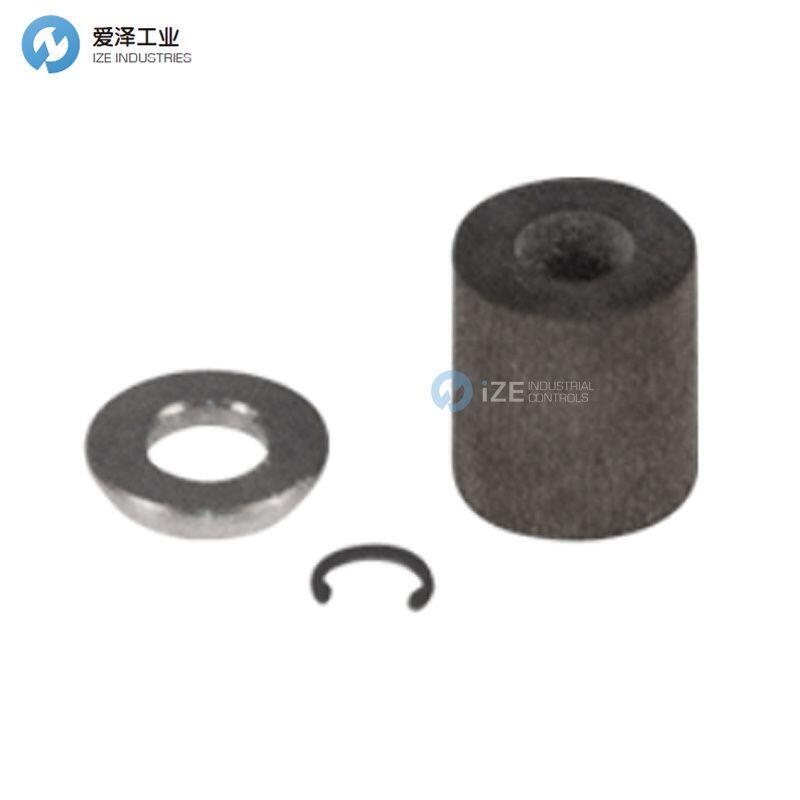 FASTEST密封FIS010300