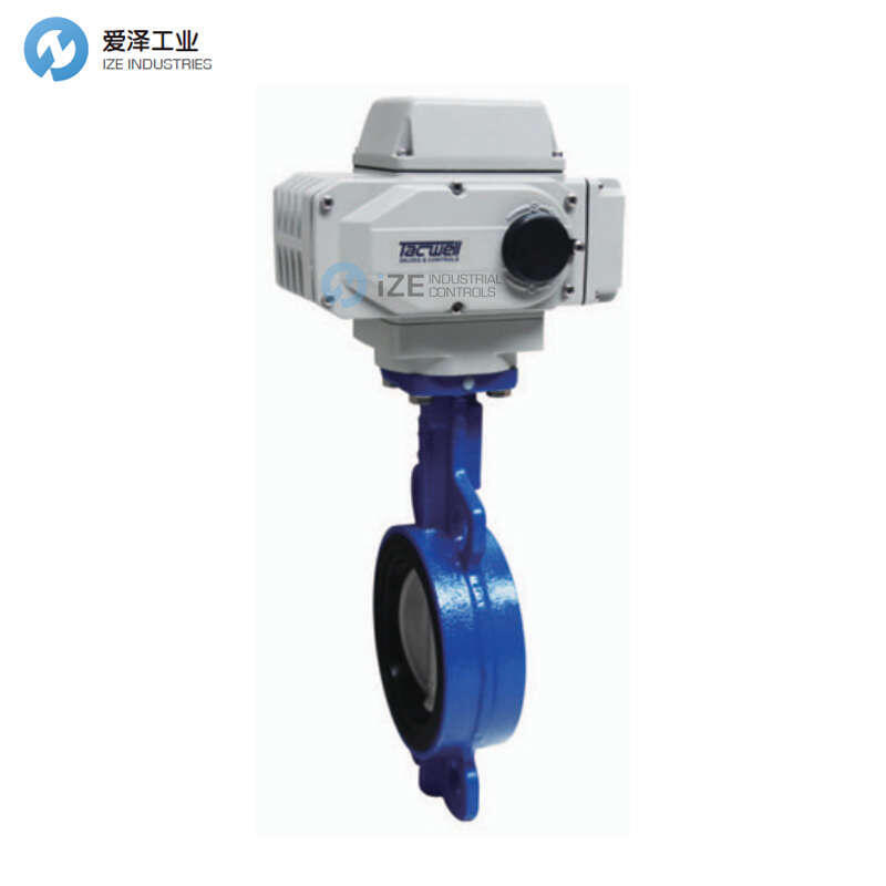 TACWELL蝶閥TE730X25E125