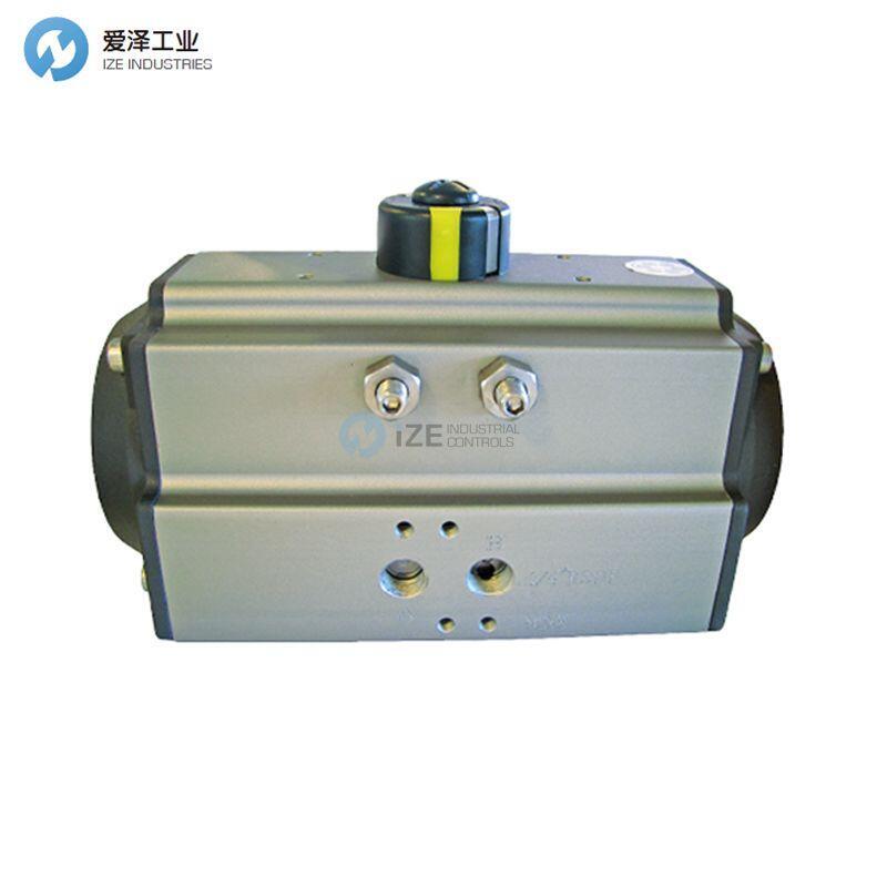 DVC執(zhí)行器505-52 DN15