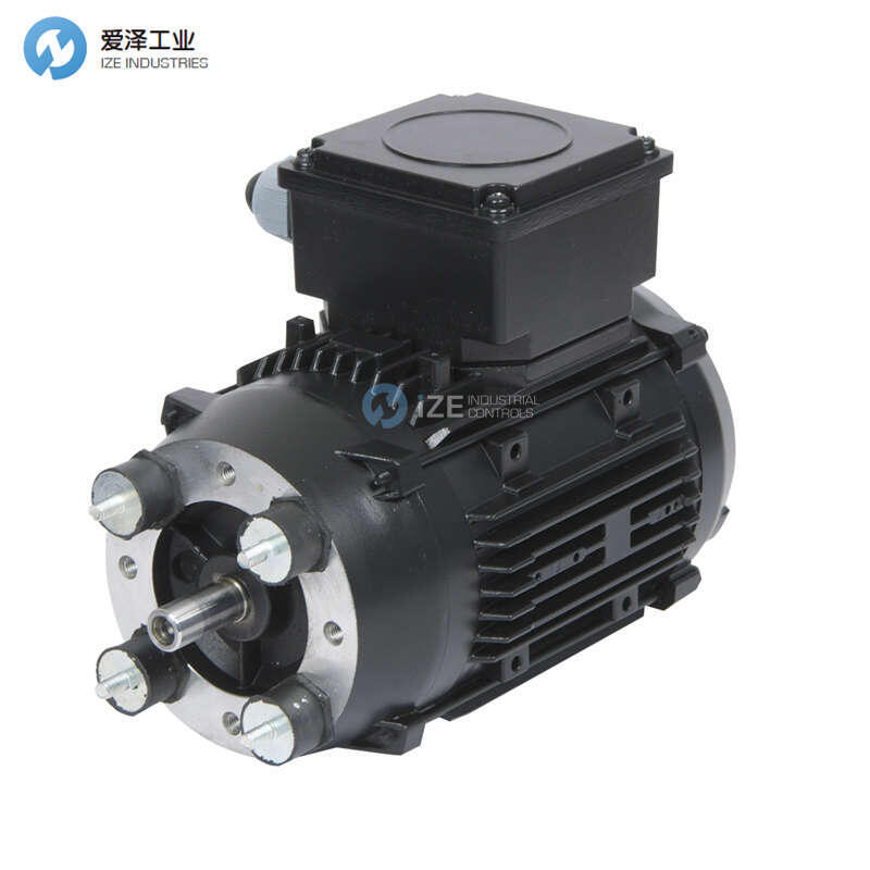 FILTERMIST電機(jī)2.223TECAB14-FIL TMV 90L1-2BI4B
