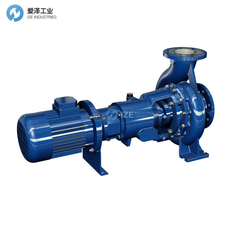 SALVATORE ROBUSCHI離心泵RNL 80-25A 4B75 M135 1/A