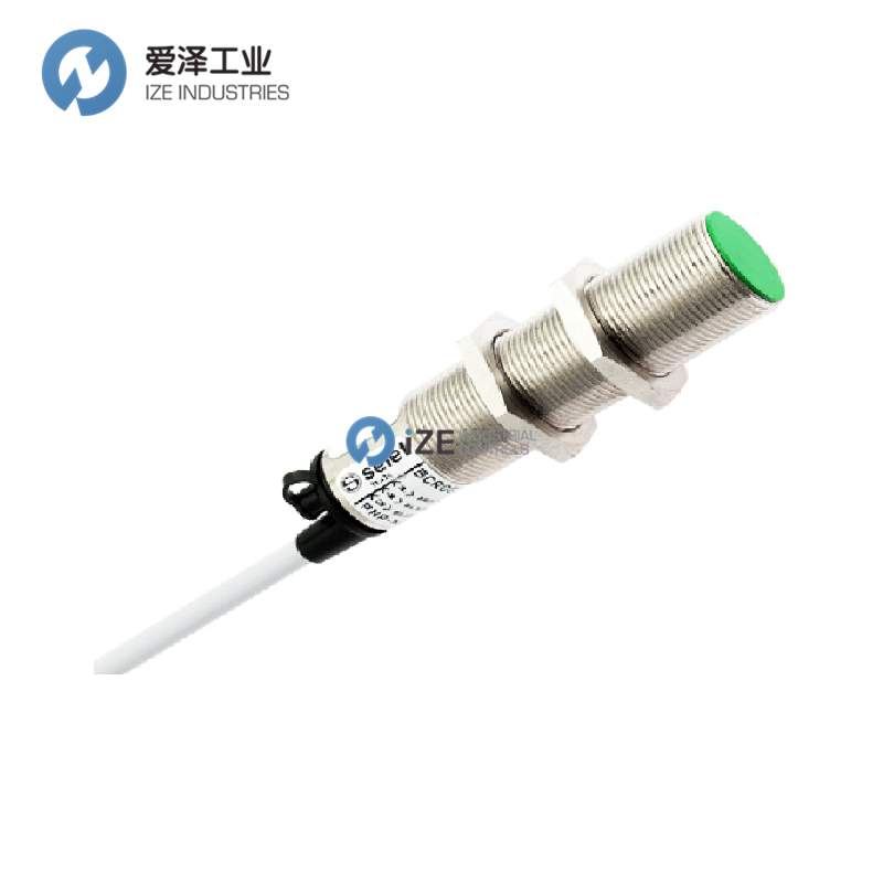 SELET傳感器BCR1G3010PO