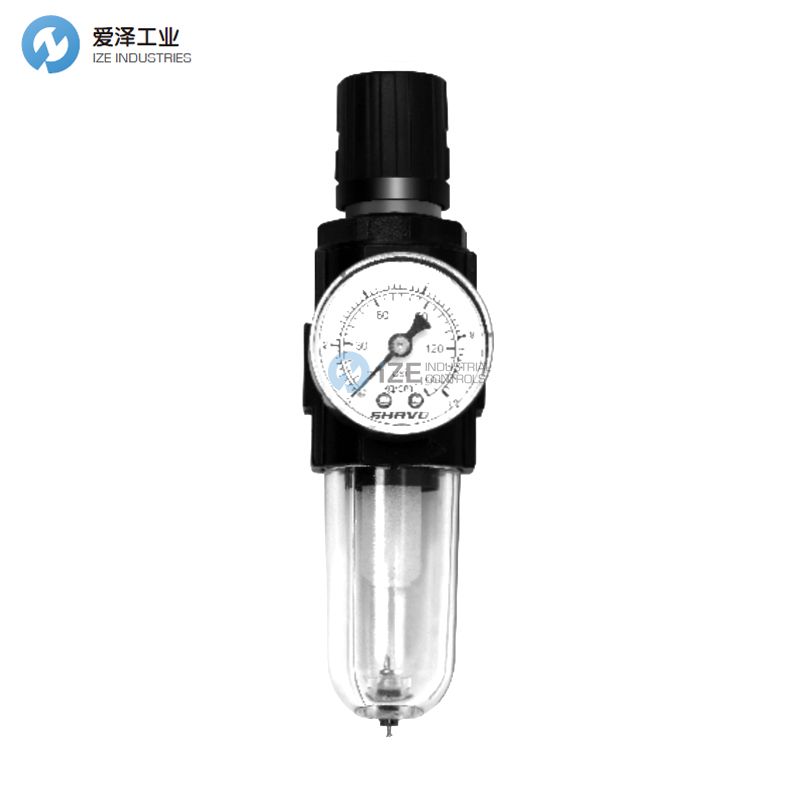 SHAVO調(diào)節(jié)器SB10-2N-M6M-RGM-LNX-E01-XXX